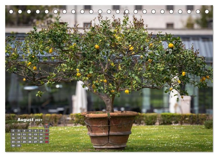 Produktbild: Bella Roma- Ewige Sch&ouml;nheit (Tischkalender 2027 DIN A5 quer), CALVENDO Monatskalender