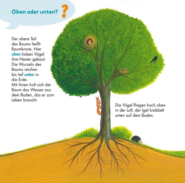 Produktbild: Frag doch mal ... die Maus: Gegens&auml;tze