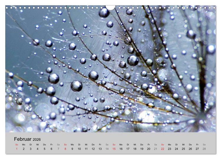 Produktbild: Naturjuwel Pusteblume (Wandkalender 2026 DIN A3 quer), CALVENDO Monatskalender