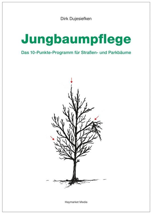 Produktbild: Jungbaumpflege