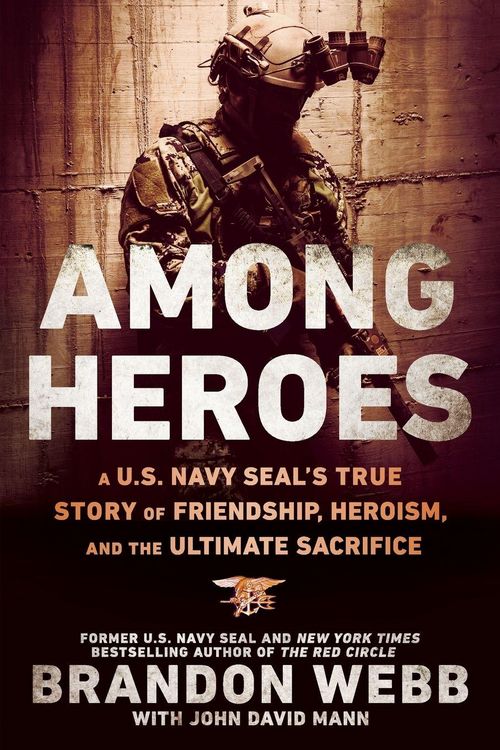 Produktbild: Among Heroes