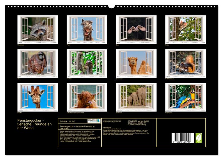 Produktbild: Fenstergucker - tierische Freunde an der Wand (Wandkalender 2026 DIN A2 quer), CALVENDO Monatskalender
