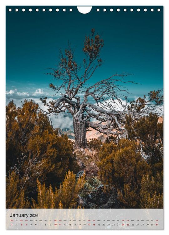 Produktbild: The Flower Island Madeira (Wall Calendar 2026 DIN A4 portrait), CALVENDO 12 Month Wall Calendar