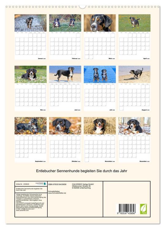 Produktbild: Entlebucher Sennenhunde begleiten Sie durch das Jahr (hochwertiger Premium Wandkalender 2026 DIN A2 hoch), Kunstdruck in Hochglanz
