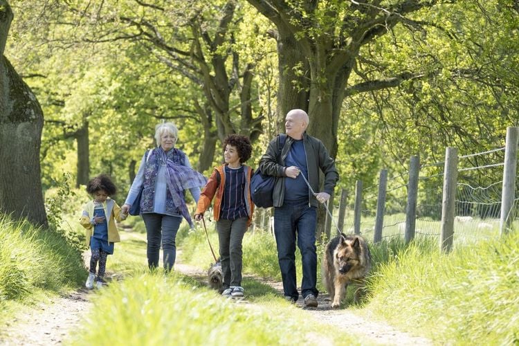 Produktbild: Mit Herz und Hund