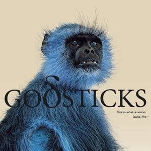 Produktbild: This Is What A Winner Looks Like (Digipak)