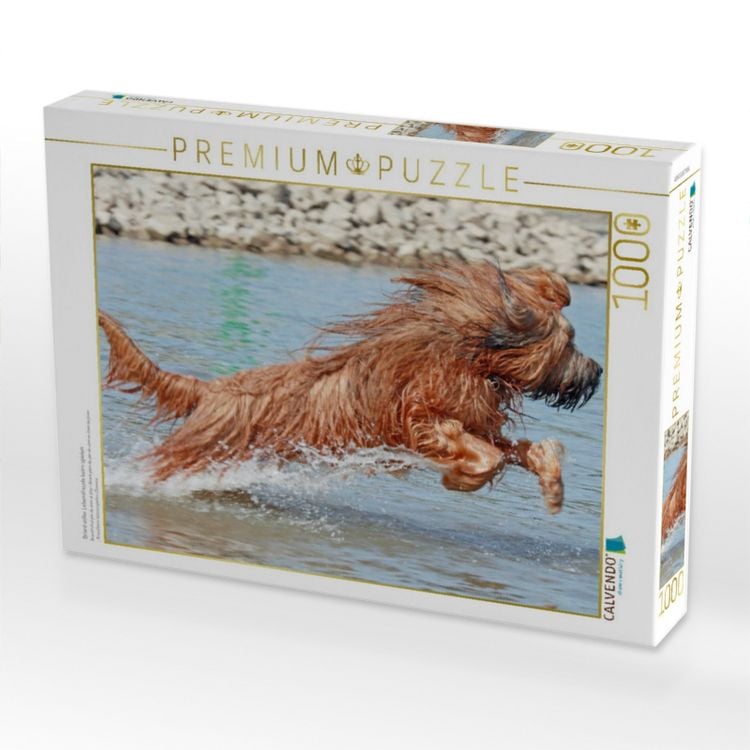 Produktbild: CALVENDO Puzzle Briard voller Lebensfreude beim spielen | 1000 Teile Lege-Gr&ouml;&szlig;e 64x48cm Foto-Puzzle f&uuml;r gl&uuml;ckliche Stunden