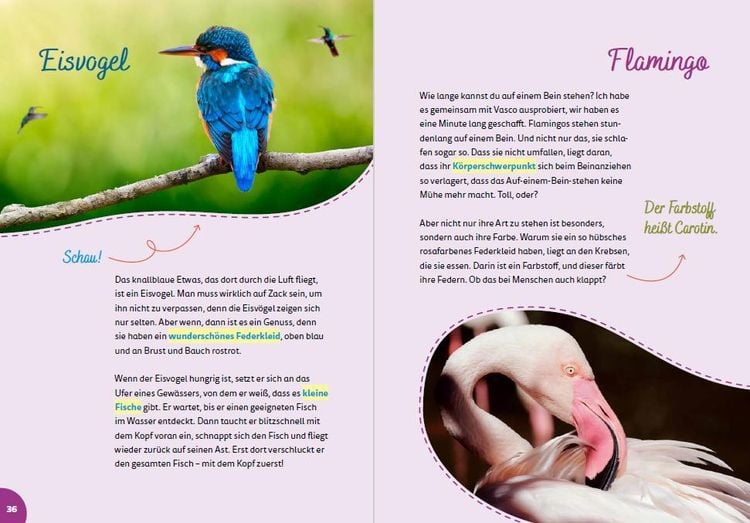 Produktbild: Portugal for kids