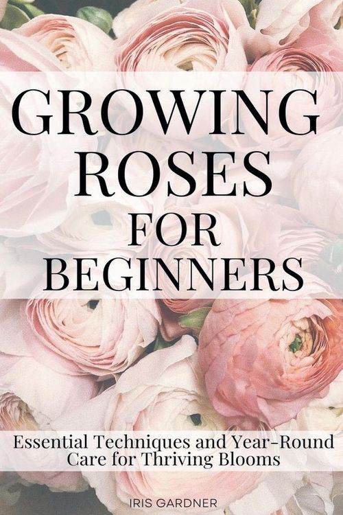 Produktbild: Growing Roses For Beginners