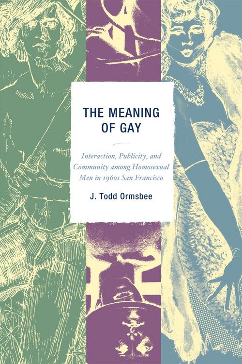 Produktbild: The Meaning of Gay