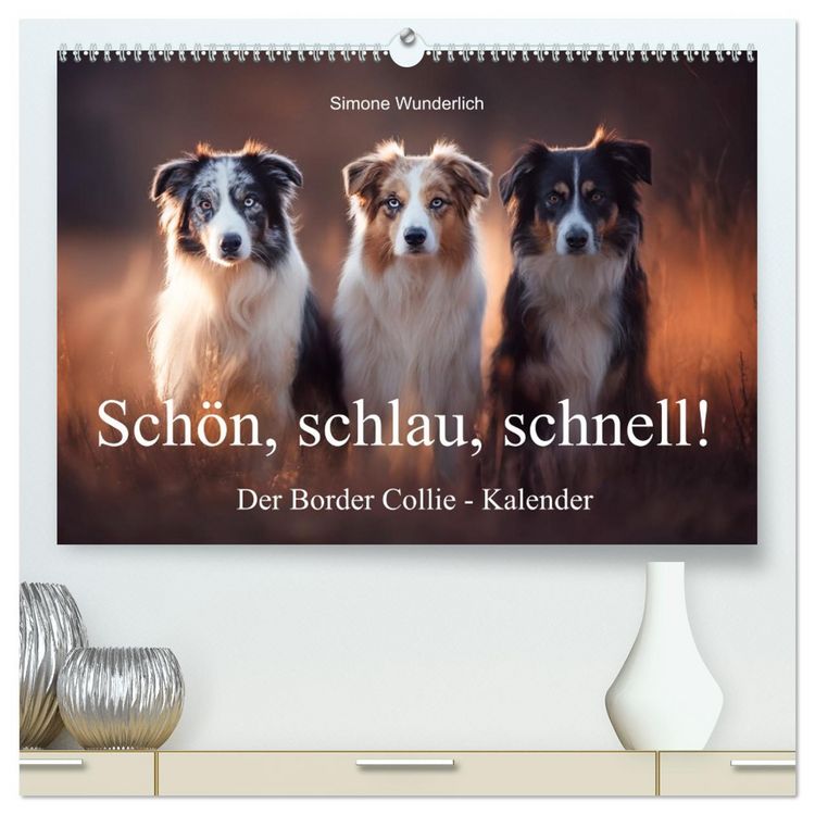Produktbild: Sch&ouml;n, schlau, schnell! - Der Border Collie - Kalender (hochwertiger Premium Wandkalender 2026 DIN A2 quer), Kunstdruck in Hochglanz