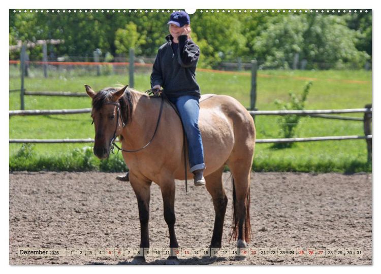 Produktbild: Quarter Horses - Die gr&ouml;&szlig;te Zuchtbuchrasse der Welt (hochwertiger Premium Wandkalender 2026 DIN A2 quer), Kunstdruck in Hochglanz