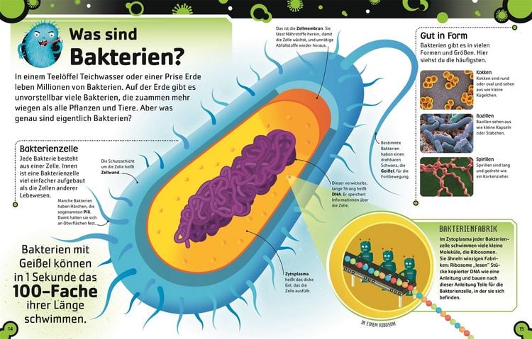 Produktbild: Superstark & Superschlau. Bakterien und Viren