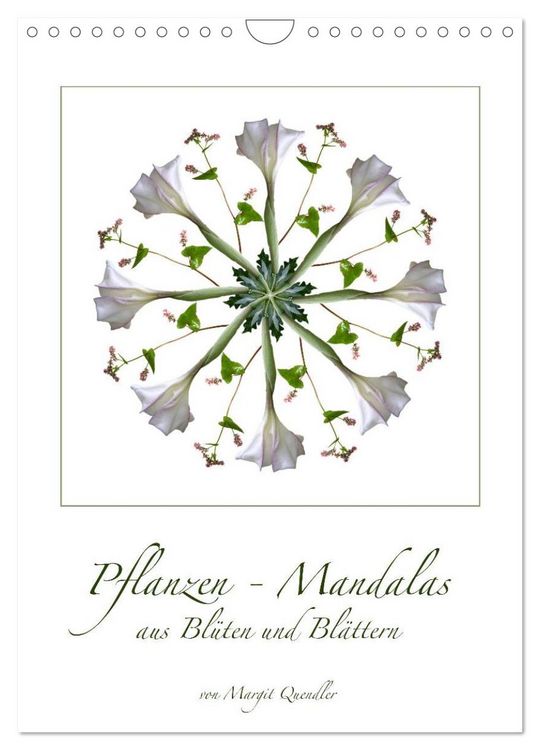 Produktbild: Pflanzen - Mandalas aus Bl&uuml;ten und Bl&auml;ttern (Wandkalender 2026 DIN A4 hoch), CALVENDO Monatskalender