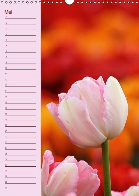 Produktbild: Der Geburtstagskalender (Wandkalender immerw&auml;hrend DIN A3 hoch)