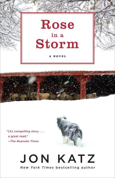 Produktbild: Rose in a Storm