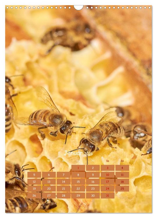 Produktbild: Gesch&auml;ftig wie im Bienenstock (Wandkalender 2026 DIN A3 hoch), CALVENDO Monatskalender