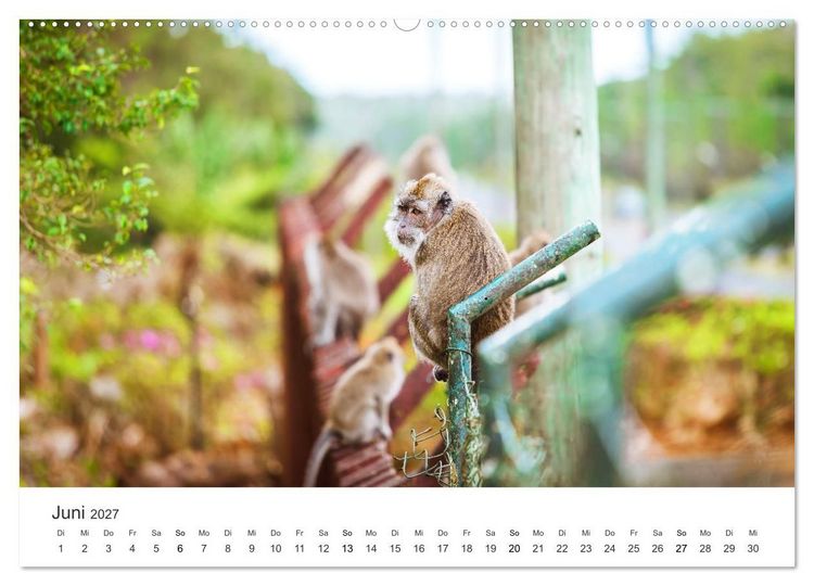 Produktbild: Traumhaftes Mauritius (hochwertiger Premium Wandkalender 2027 DIN A2 quer), Kunstdruck in Hochglanz