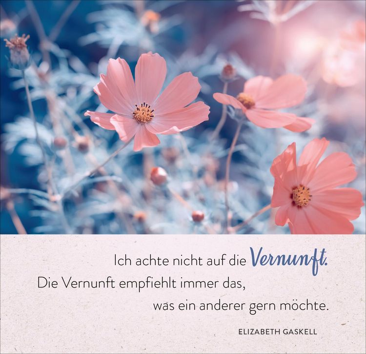 Produktbild: 365 Tage voller Liebe und Lebensfreude