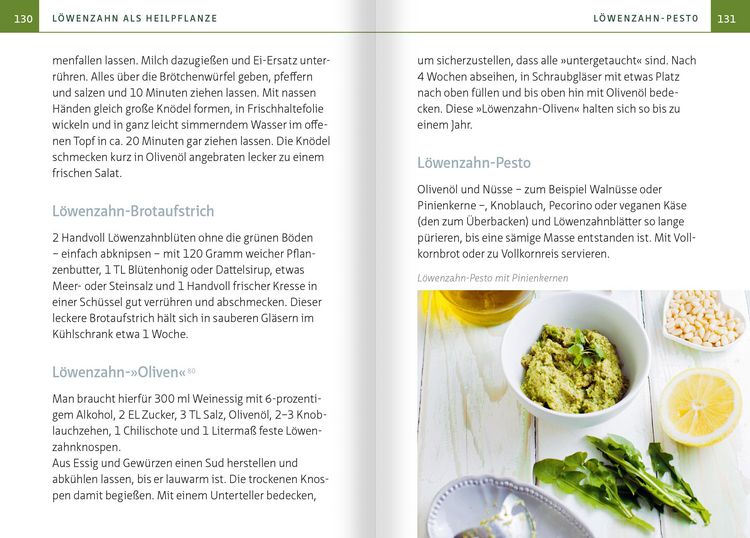 Produktbild: L&ouml;wenzahn - Wunderkraut f&uuml;r Resilienz und Lebenskraft. Kompakt-Ratgeber