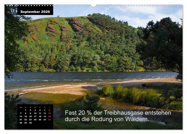 Produktbild: Schlaumeier-Kalender - Thema: Wald (hochwertiger Premium Wandkalender 2026 DIN A2 quer), Kunstdruck in Hochglanz