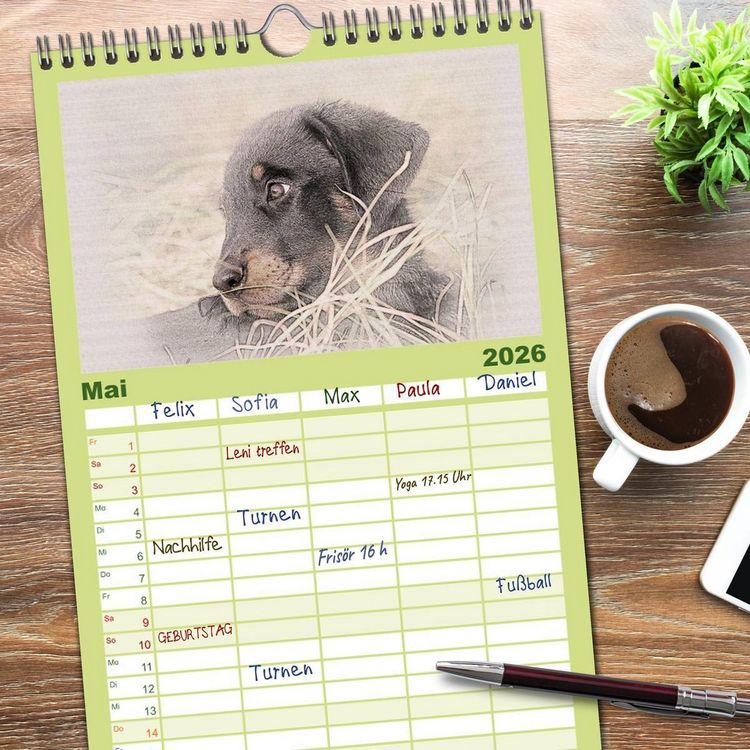 Produktbild: Familienplaner 2026 - Franz&ouml;sische Hirtenhunde 2026 mit 5 Spalten (Wandkalender, 21 x 45 cm) CALVENDO