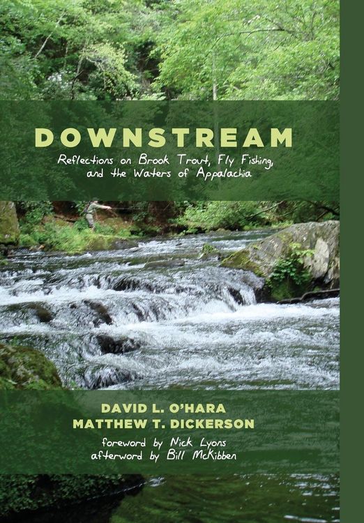 Produktbild: Downstream
