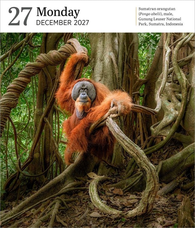 Produktbild: Audubon Nature Page-A-Day&reg; Gallery Calendar 2027