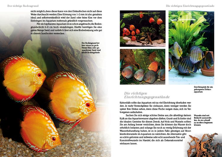 Produktbild: Diskusfische