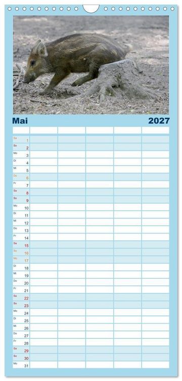 Produktbild: Familienplaner 2027 - Tierische Schweinerei mit 5 Spalten (Wandkalender, 21 x 45 cm) CALVENDO