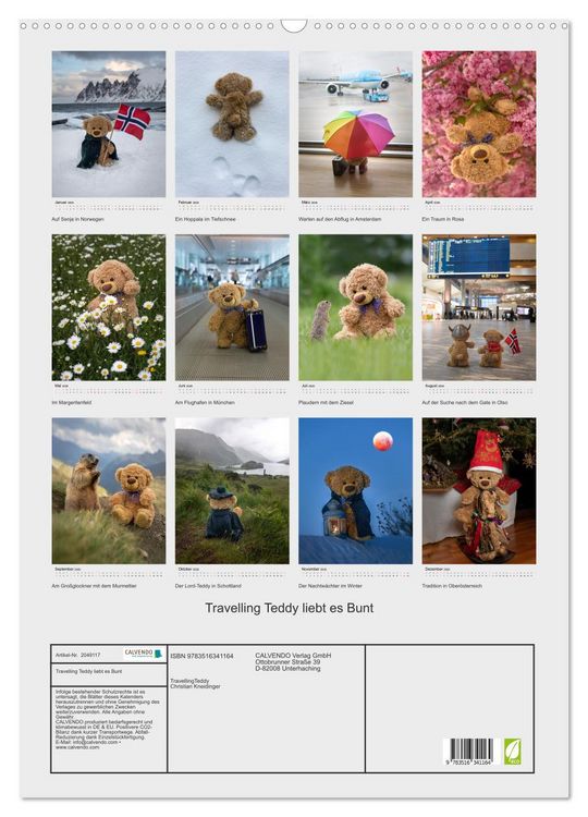Produktbild: Travelling Teddy liebt es Bunt (Wandkalender 2026 DIN A2 hoch), CALVENDO Monatskalender
