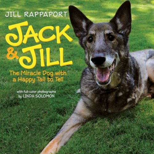 Produktbild: Jack & Jill: The Miracle Dog with a Happy Tail to Tell