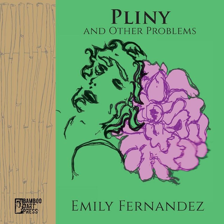 Produktbild: Pliny and Other Problems