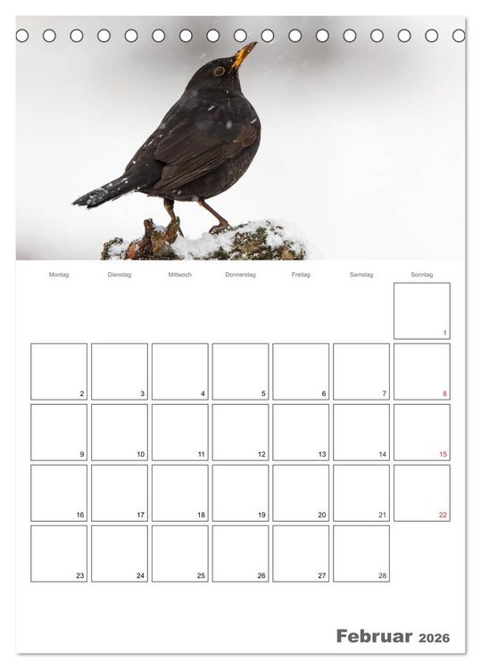 Produktbild: V&ouml;gel im heimischen Garten (Tischkalender 2026 DIN A5 hoch), CALVENDO Monatskalender
