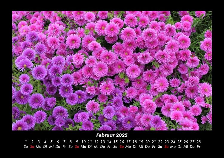 Produktbild: Blumenkalender 2025 Fotokalender DIN A3