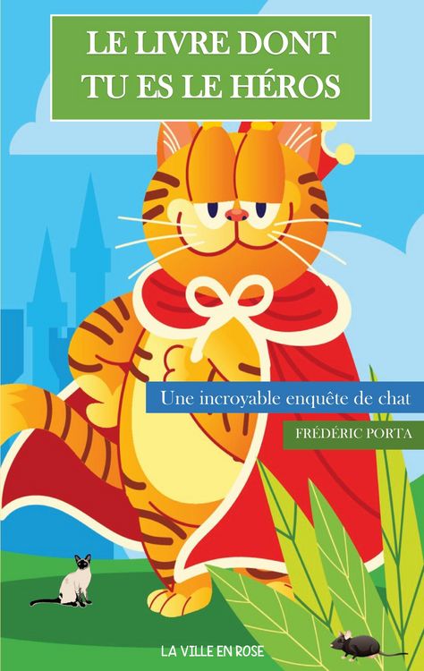 Produktbild: Le Livre Dont Tu Es Le H&eacute;ros