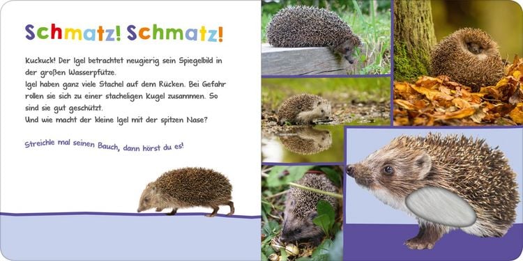 Produktbild: Hör mal rein, wer kann das sein? – Im Garten
