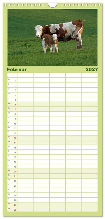 Produktbild: Familienplaner 2027 - Muuuhhh! mit 5 Spalten (Wandkalender, 21 x 45 cm) CALVENDO