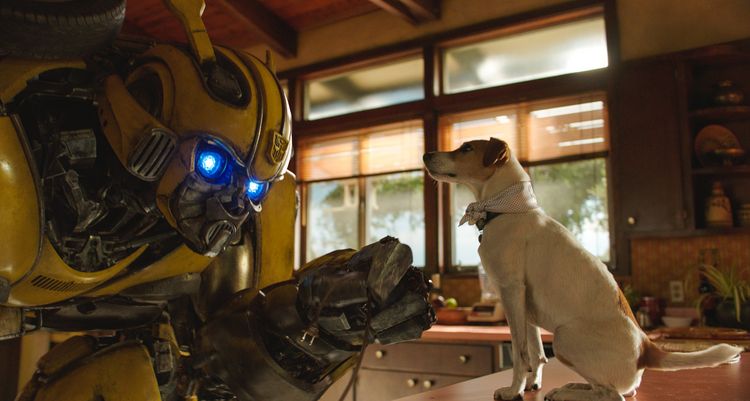 Produktbild: Bumblebee