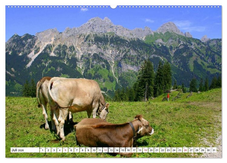 Produktbild: Geliebtes Tirol. Alpiner Zauber in &Ouml;sterreich (Wandkalender 2026 DIN A2 quer), CALVENDO Monatskalender