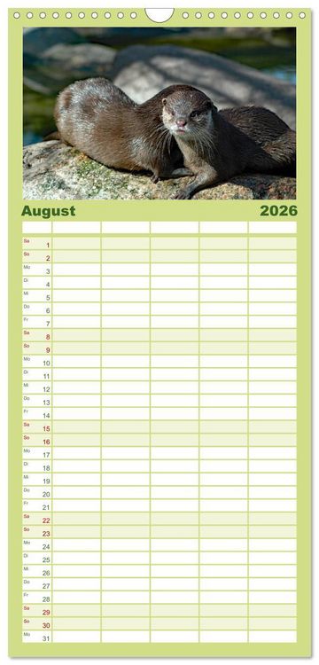 Produktbild: Familienplaner 2026 - Deutsches Jagdwild - Waidmannsheil mit 5 Spalten (Wandkalender, 21 x 45 cm) CALVENDO