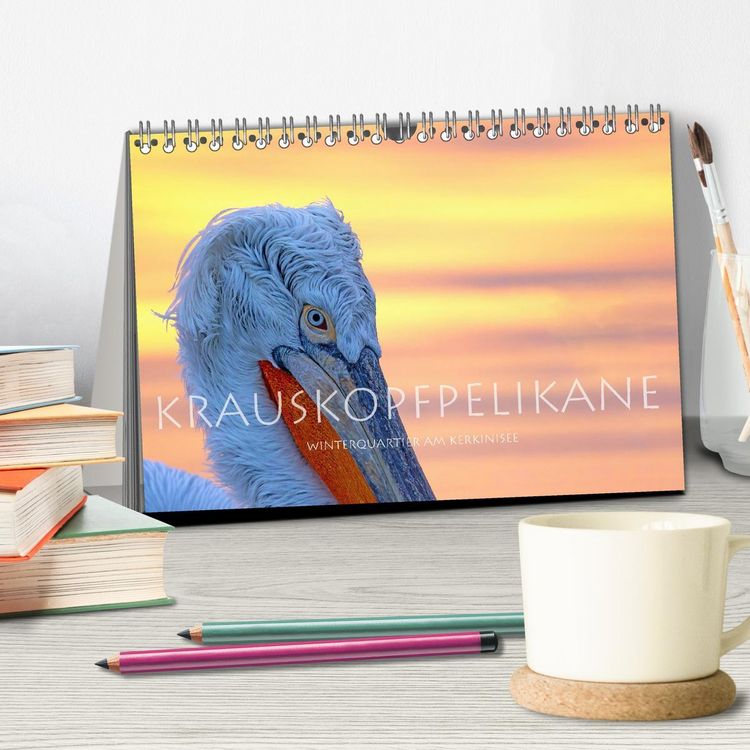 Produktbild: Krauskopfpelikane (Tischkalender 2026 DIN A5 quer), CALVENDO Monatskalender