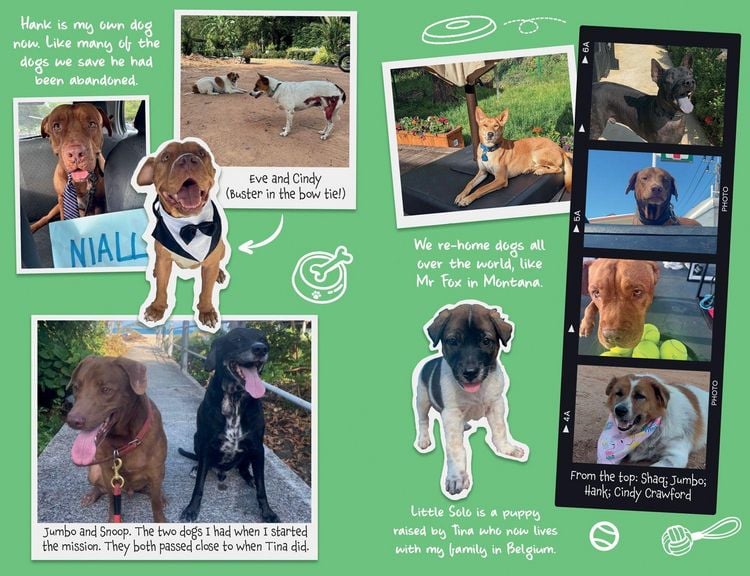 Produktbild: TINA DOG WHO CHANGED WORLD PB