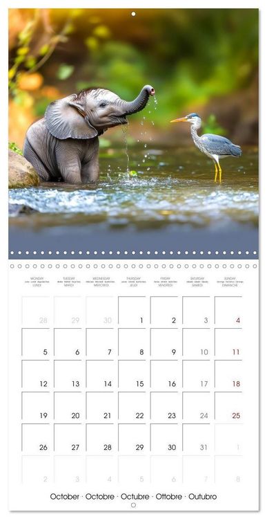 Produktbild: Baby Elephant Adventures (Wall Calendar 2026 12 &times; 12 Inch) CALVENDO 12 Month Wall Calendar