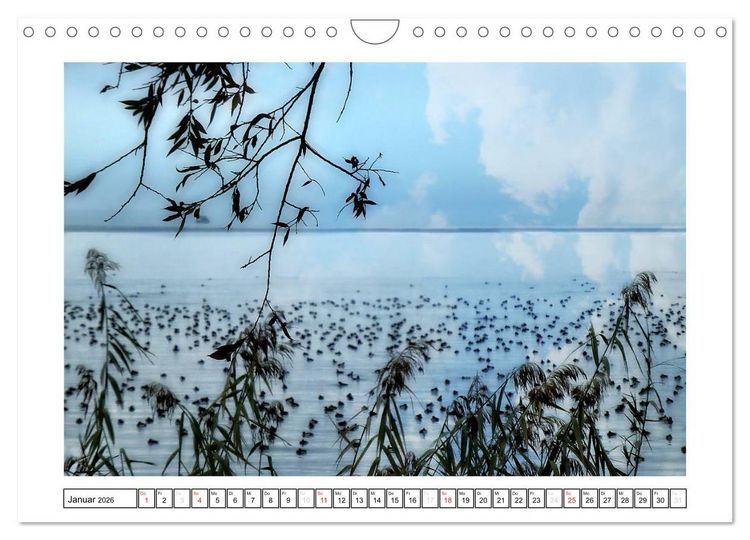 Produktbild: Bodensee - Seesucht (Wandkalender 2026 DIN A4 quer), CALVENDO Monatskalender