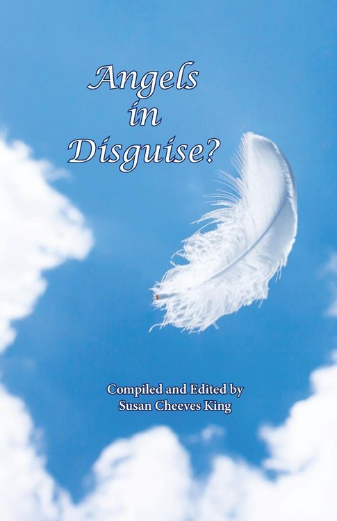 Produktbild: Angels in Disguise?