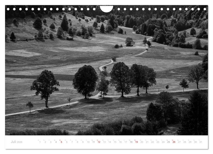 Produktbild: Mystischer Schwarzwald (Wandkalender 2026 DIN A4 quer), CALVENDO Monatskalender