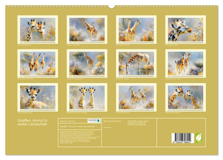 Produktbild: Giraffen. Anmut in weiter Landschaft (hochwertiger Premium Wandkalender 2027 DIN A2 quer), Kunstdruck in Hochglanz