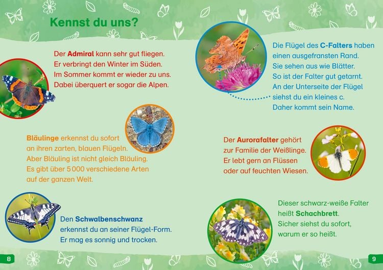 Produktbild: WAS IST WAS Erstes Lesen easy! Band 15. Wie leben die Schmetterlinge?