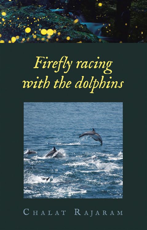 Produktbild: Firefly racing with the dolphins